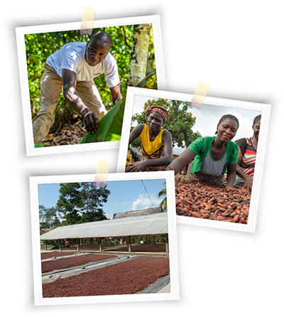sustainability-raw-materials-polaroids-cocoa-cultivation-s